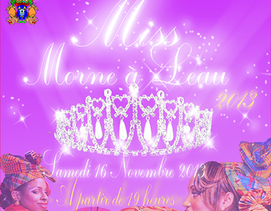 Miss Morne-à-l'Eau 2013