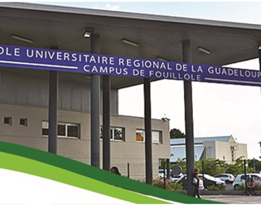 Campus de Fouillole