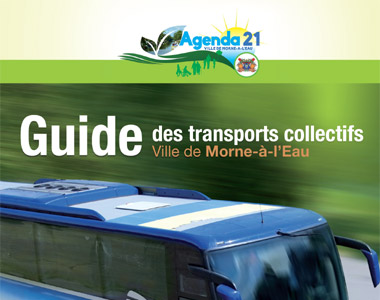 Guide des transporteurs collectifs de la ville