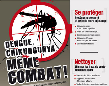 Lutte contre les virus du Chikungunya et de la Dengue