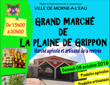 Grand Marché de la plaine de Grippon