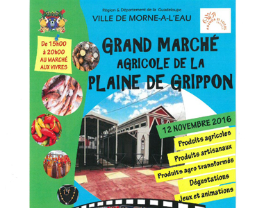 Grand Marché de la plaine de Grippon