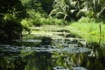 Canal des Rotours