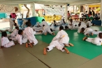 Festy Judo (2ème édition)