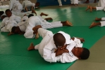 Festy Judo