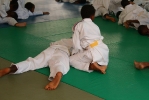 Festy Judo