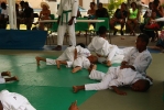 Festy Judo