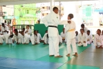 Festy Judo