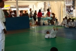 Festy Judo