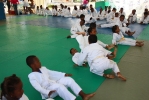 Festy Judo