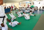 Festy Judo