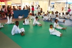 Festy Judo (2ème édition)