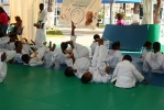 Festy Judo