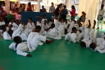 Festy Judo