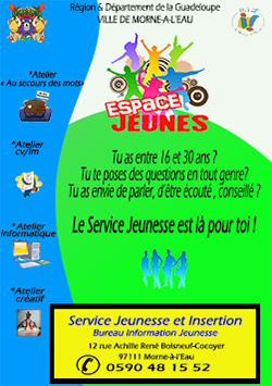 flyer SIj