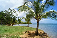 La plage de Babin