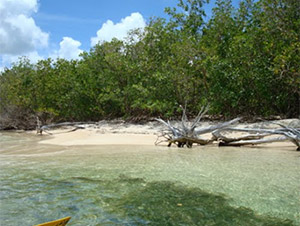 L’îlet Fajou